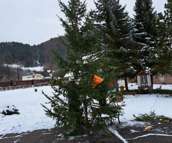 Aktuality / Postavili sme Vianočný stromček pre našim kostolom - foto