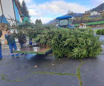 Aktuality / Vianočný stromček pri našom Božom chráme sme už postavili - foto