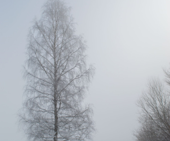 Aktuality / VIII. ročník prechodu Medzibrodským chotárom - 18.1.2025 - foto