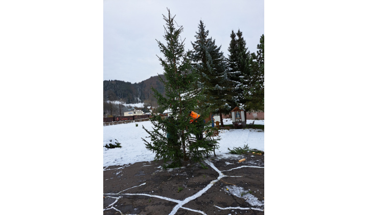 Postavili sme Vianočný stromček pred našim kostolom